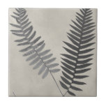 Vintage Ferns Tile<br><div class="desc">Vintage Fern Study III by Vision Studio. Features two vintage-looking ferns against an antique background.</div>