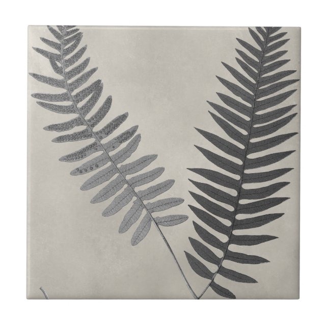 Vintage Ferns Tile (Front)