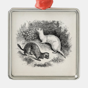 Vintage Ferret 1800s Ferrets Weasels Minks Metal Ornament