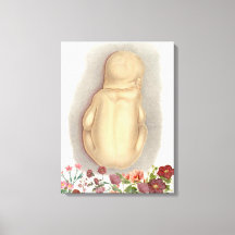 Vintage fetal anatomy canvas art