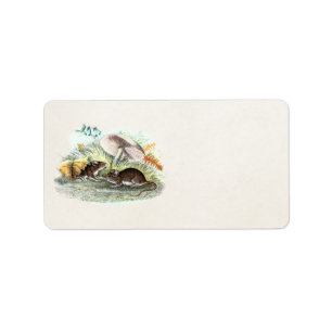 Vintage Field Mouse w Mushrooms Old Retro Mice Label