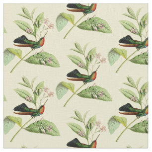 Vintage Fiery Throated Hummingbird Fabric