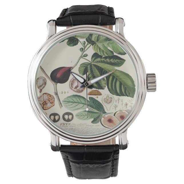 Vintage Fig Watch (Front)