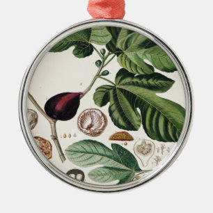 Vintage Figs Botanical Print Metal Ornament