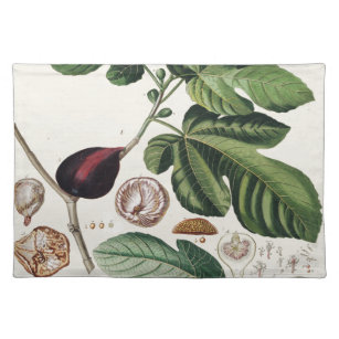 Vintage Figs Botanical Print Placemat