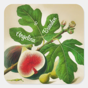 Vintage  figs wedding Personalized Square Sticker