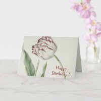 Vintage Fine Art, White and Red Tulip Birthday 