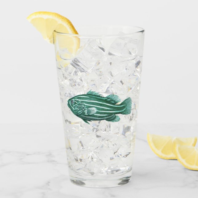 Vintage Fish Glass (Front Ice)