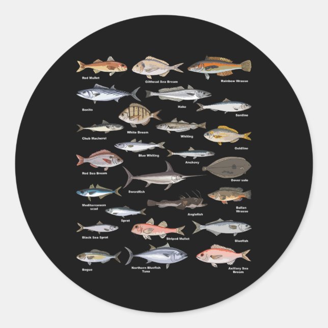 Vintage Fish Identification Chart Fishing  Classic Round Sticker (Front)