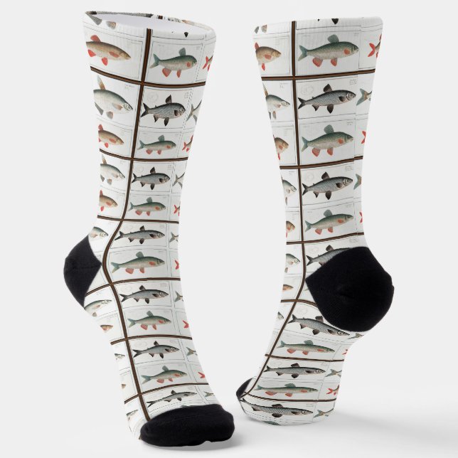 Vintage Fish Illustrations Socks (Angled)