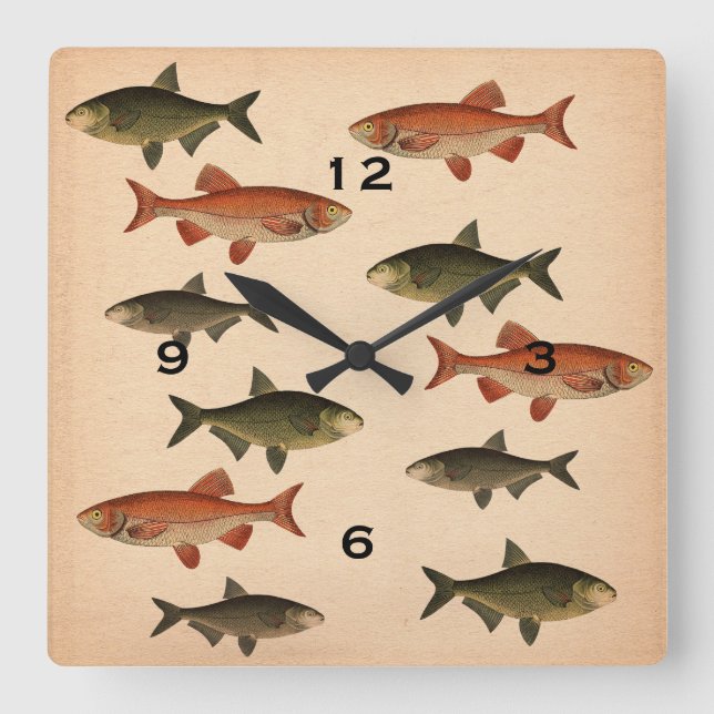 Vintage Fish Illustrations Wall Clock (Front)