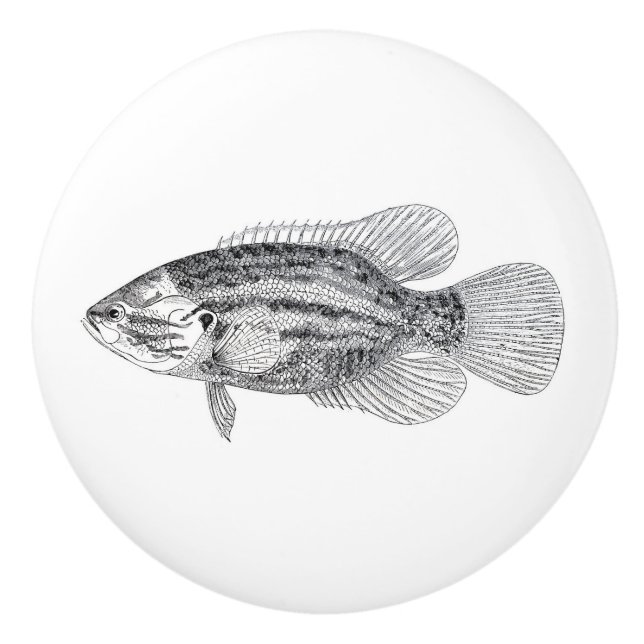 Vintage fish in black and white ceramic knob (Front)