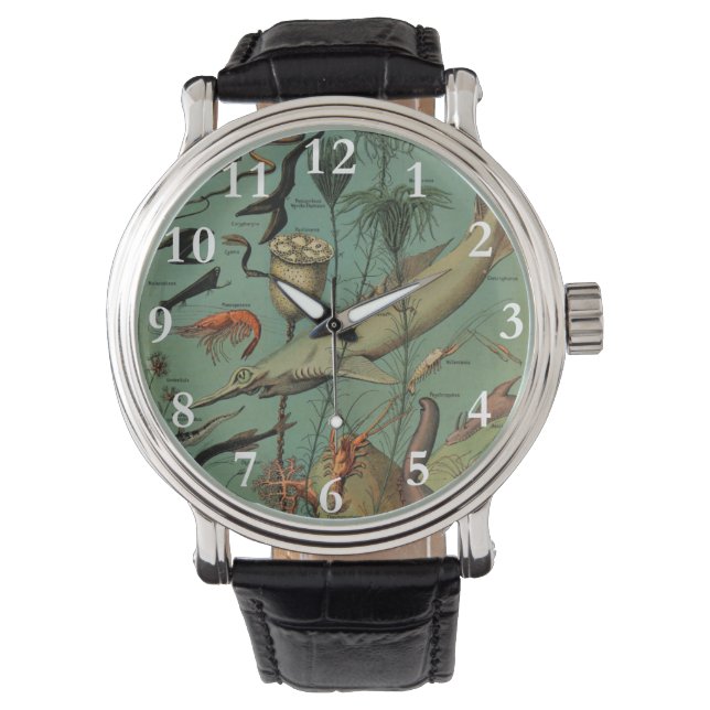 Vintage Fish Marine Life Watch (Front)