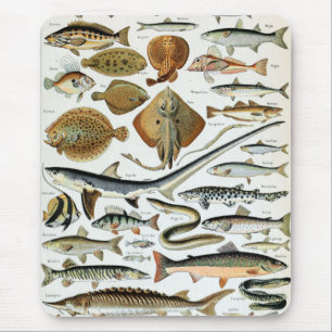 Vintage Fish of the World Mouse Pad