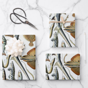 Vintage Fish of the World Poster Wrapping Paper Sheet