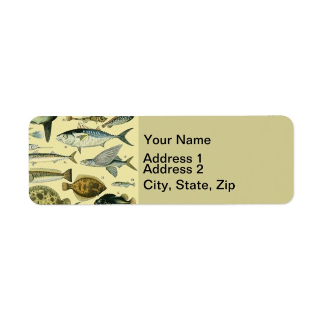Vintage Fish Scientific Fishing Art (Front)