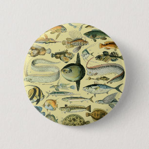 Vintage Fish Scientific Fishing Art 2 Inch Round Button