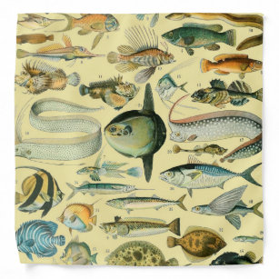 Vintage Fish Scientific Fishing Art Bandana