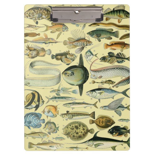Vintage Fish Scientific Fishing Art Clipboard (Front)