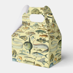 Vintage Fish Scientific Fishing Art Favor Box