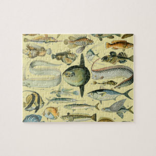 Vintage Fish Scientific Fishing Art Jigsaw Puzzle