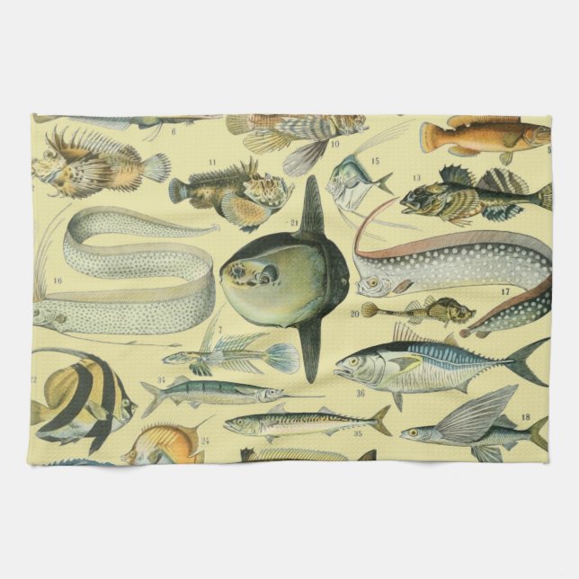 Vintage Fish Scientific Fishing Art Kitchen Towel (Horizontal)