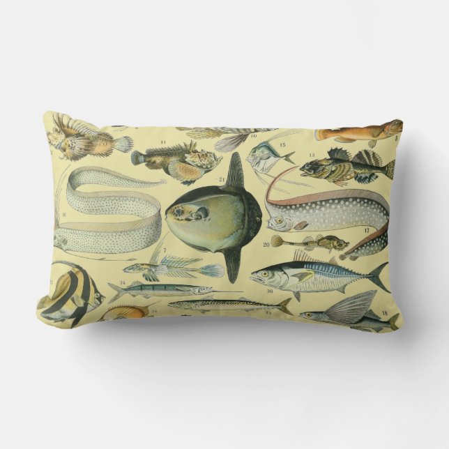 Vintage Fish Scientific Fishing Art Lumbar Pillow (Front)