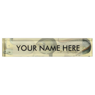 Vintage Fish Scientific Fishing Art Nameplate