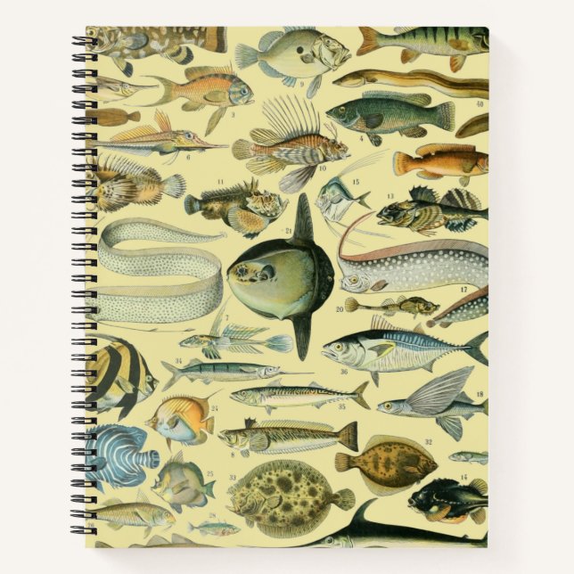 Vintage Fish Scientific Fishing Art Notebook (Front)