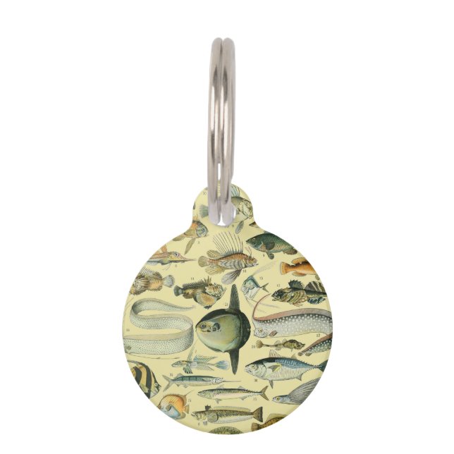Vintage Fish Scientific Fishing Art Pet Tag (Front)
