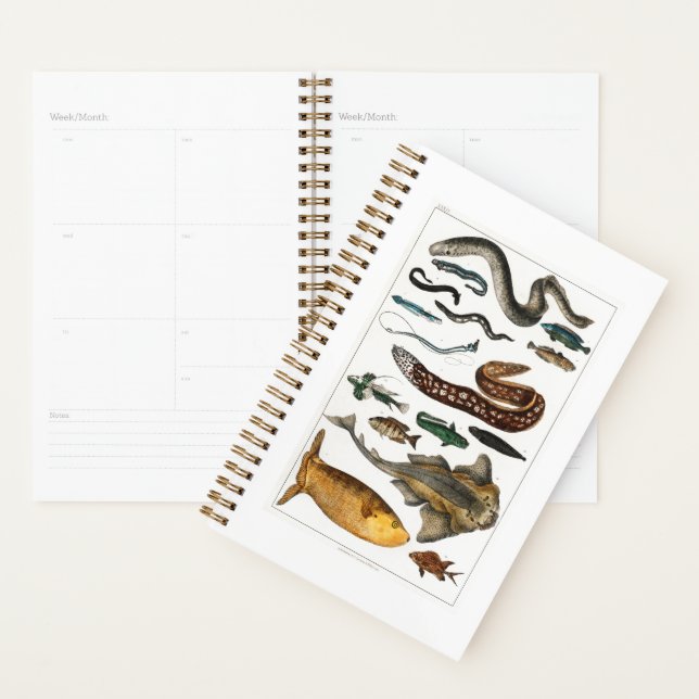 Vintage Fish Sea Ocean, beach, blue Planner (Display)