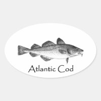 Vintage Fishing - Atlantic Cod