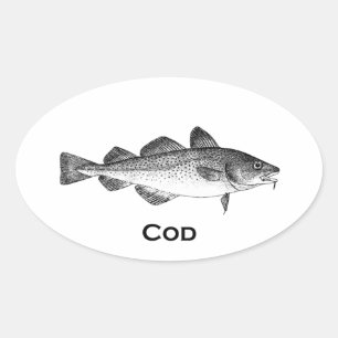 Vintage Fishing - Cod Oval Sticker