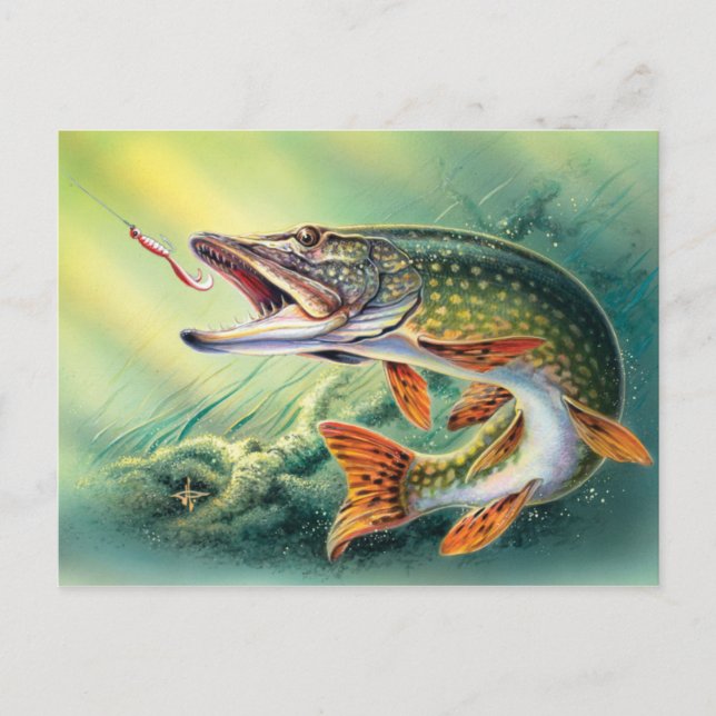 Vintage Fishing cute fish postcard (Front)