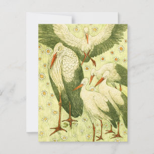 Vintage Five storks in a meadow Postcard