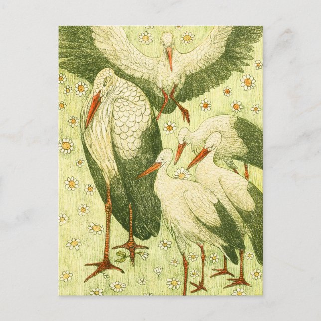 Vintage Five storks in a meadow Postcard (Front)
