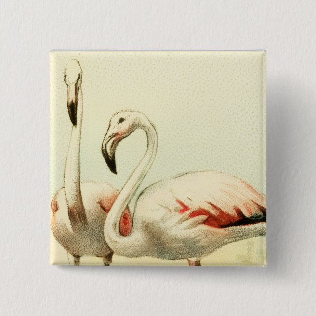 Vintage Flamingo 2 Inch Square Button (Front)
