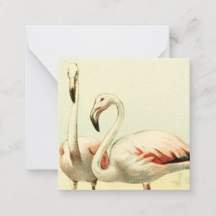 Vintage Flamingo Card