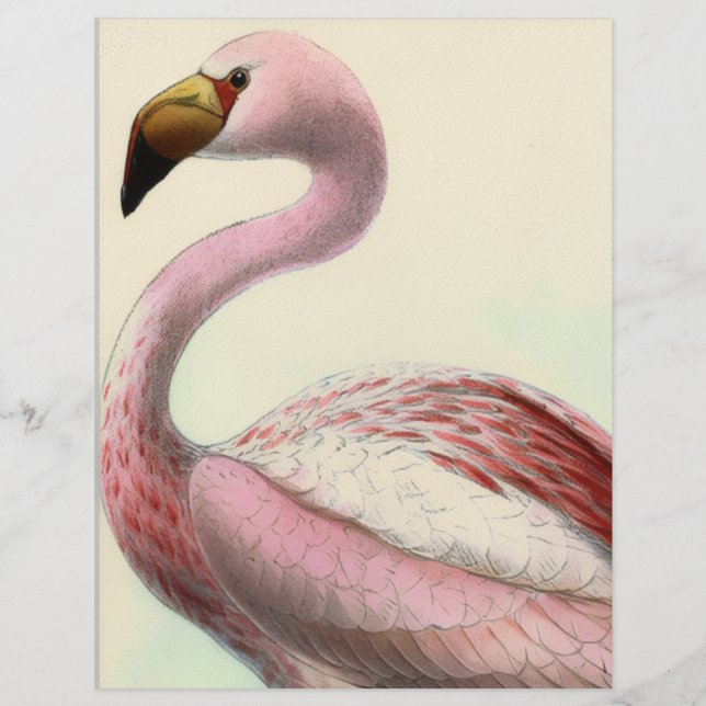 Vintage Flamingo Letterhead (Front)