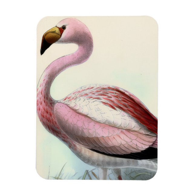 Vintage Flamingo Magnet (Vertical)