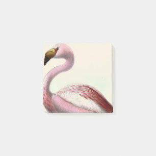 Vintage Flamingo Post-it Notes