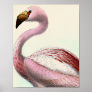 Vintage Flamingo Poster