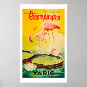 Vintage flamingo poster