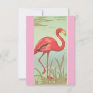 Vintage Flamingo Save The Date