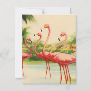Vintage Flamingos Card