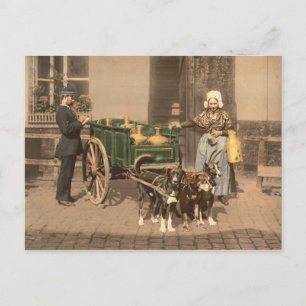 Vintage Flemish Milk Maid Postcard