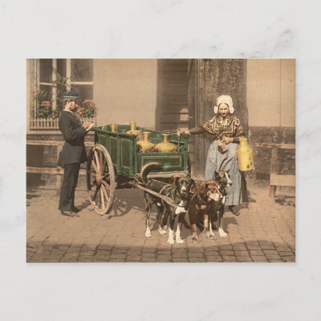 Vintage Flemish Milk Maid Postcard (Front)