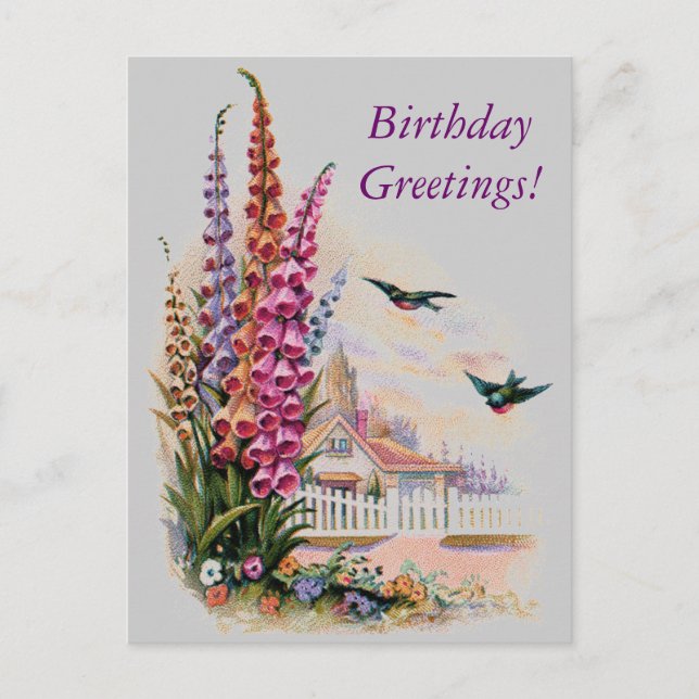 Vintage Flora Birthday Greetings Postcard (Front)