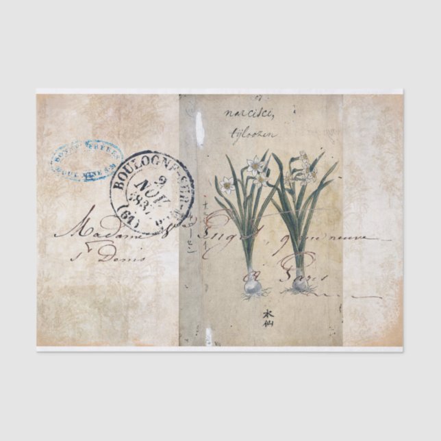 Vintage Flora Botanical Paris Postage Tissue Paper (Front)