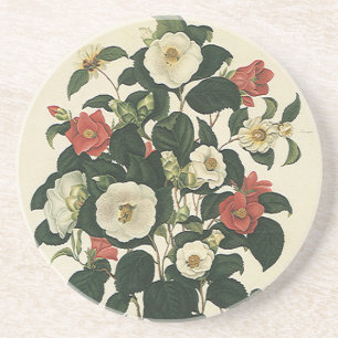 Vintage Floral, Antique Garden Roses Flowers Coaster